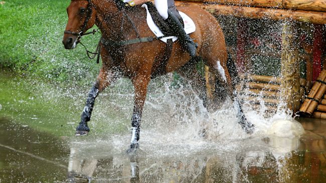 Three Day eventing is a hugely popular sport and is contested at the Olympics