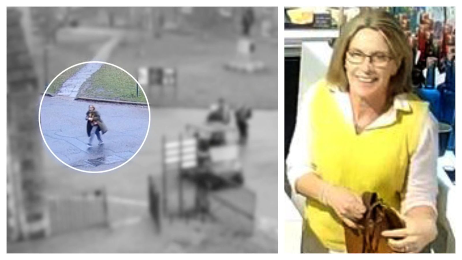 The key unanswered questions over Gaynor Lord's disappearance as body ...