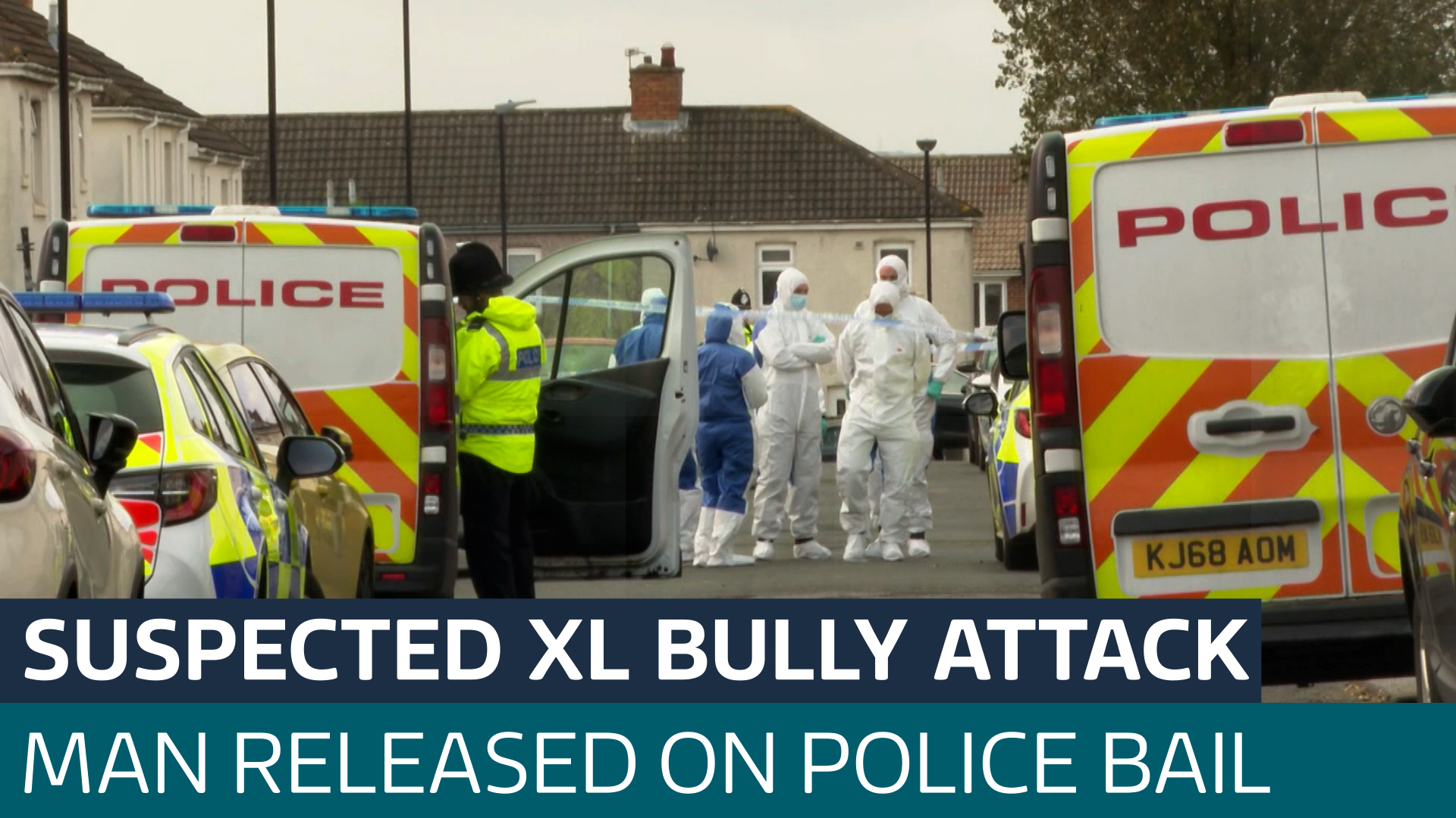 Man released on bail after fatal attack by dog believed to be XL bully ...