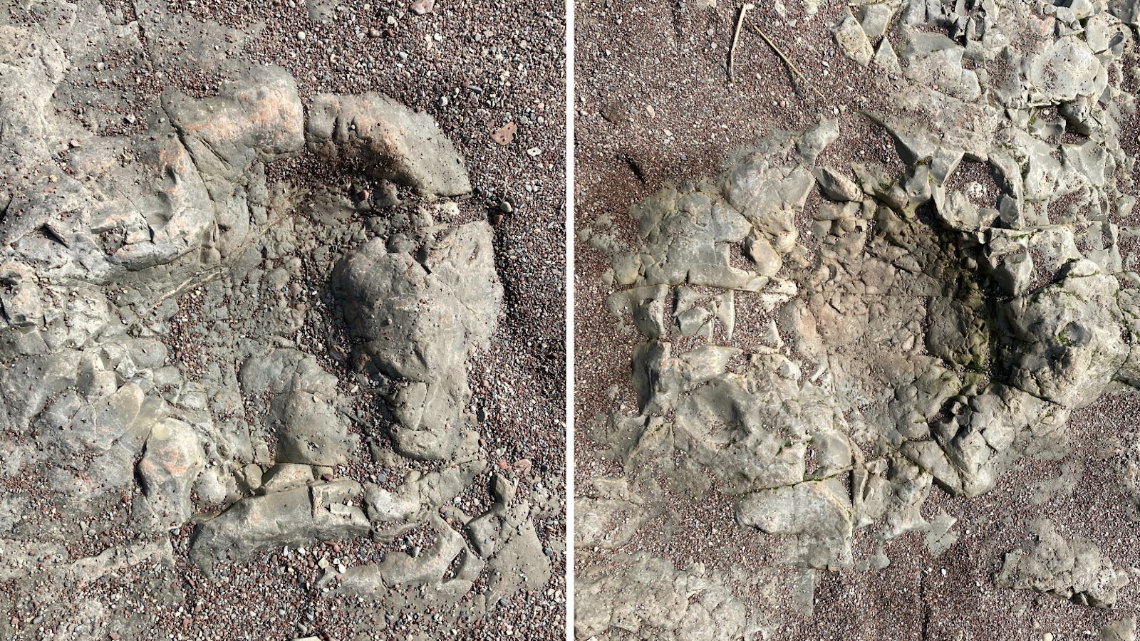 Bendricks Rocks How you can find 200-million-year-old dinosaur footprints in Penarth ...