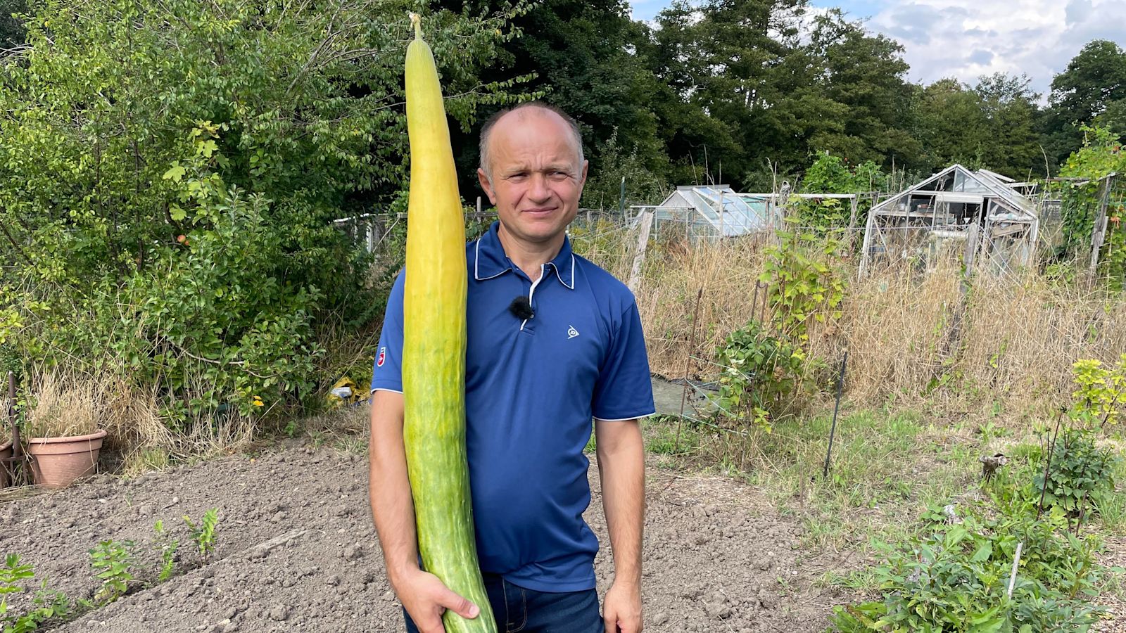 Cucumber Inches Southampton man breaks Guinness World Record for growing world's ...