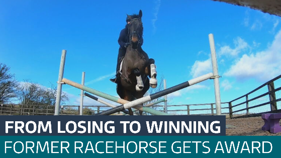 Former Derbyshire racehorse who never won a race gets national award ...