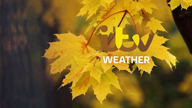 Weather Generic Hero Image Autumn Maple Leaf