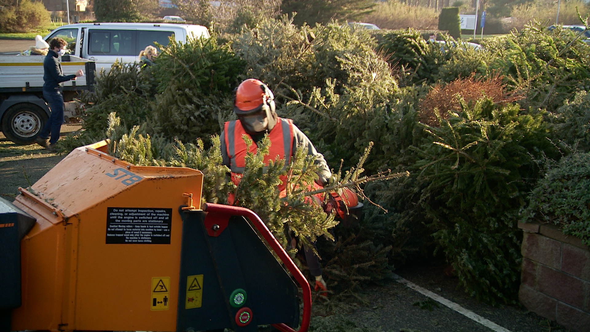 Jersey Hospice Care raises £41,000 from Christmas tree collection