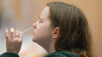 Female doing a swab for Lateral Flow Testing herself - swab up nostril