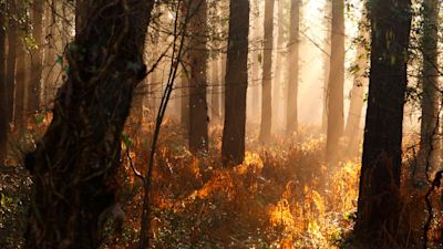 Chris Ison/PA Archive/PA Images