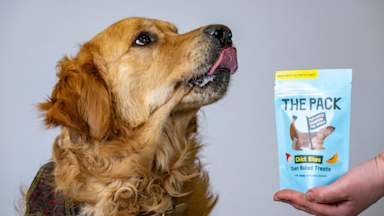Pet treats made from lab-grown meat go on sale in the UK in 'world first'