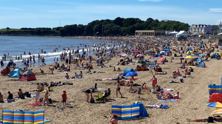 are dogs allowed on barry island beach