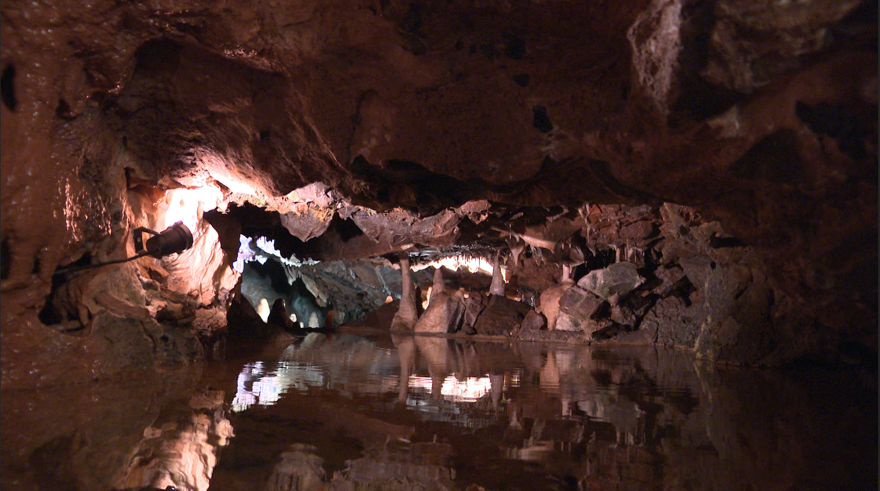 When Cheddar Caves will reopen to the public after two year Covid