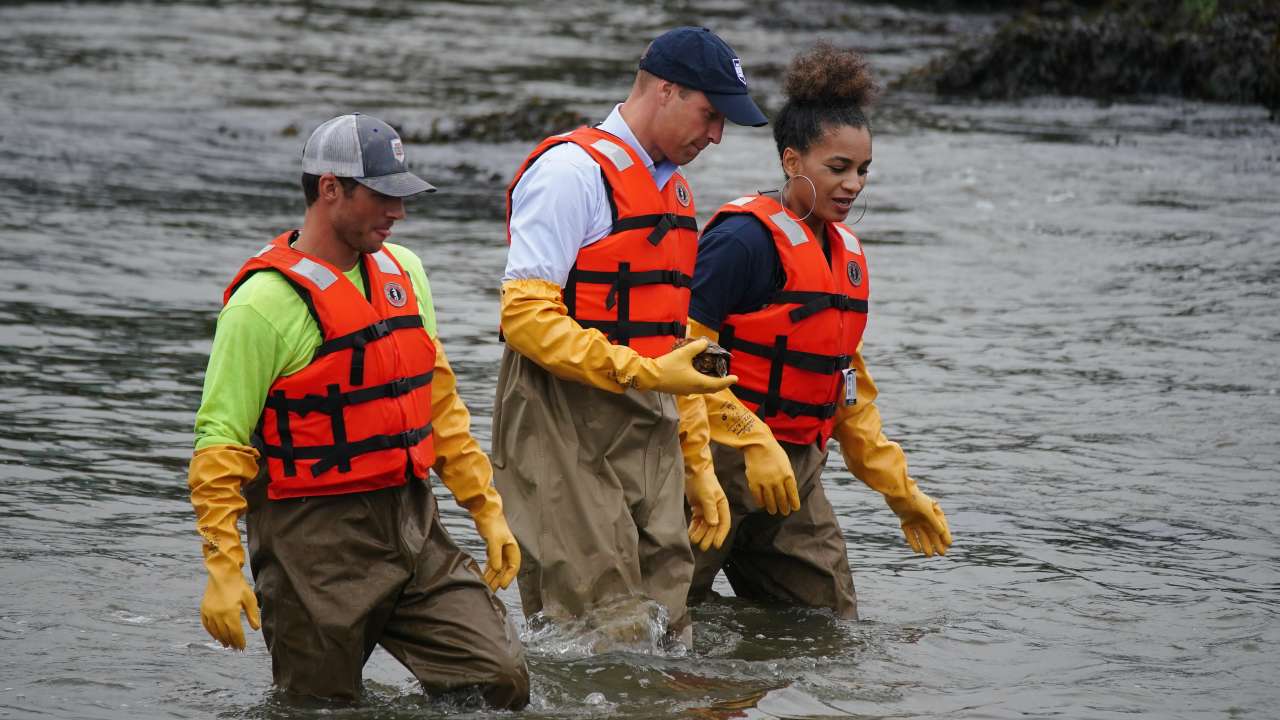 Prince of Wales wades into New York river to learn about oyster reefs