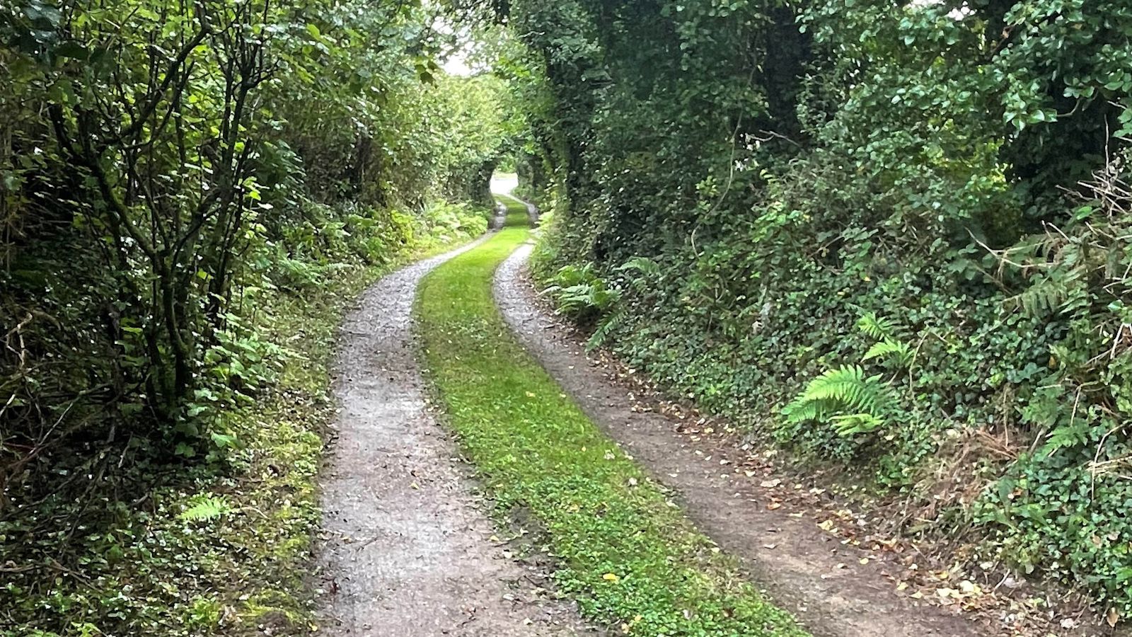 Unmade Track The Cornwall Council land that's being auctioned for £1 | ITV News West ...