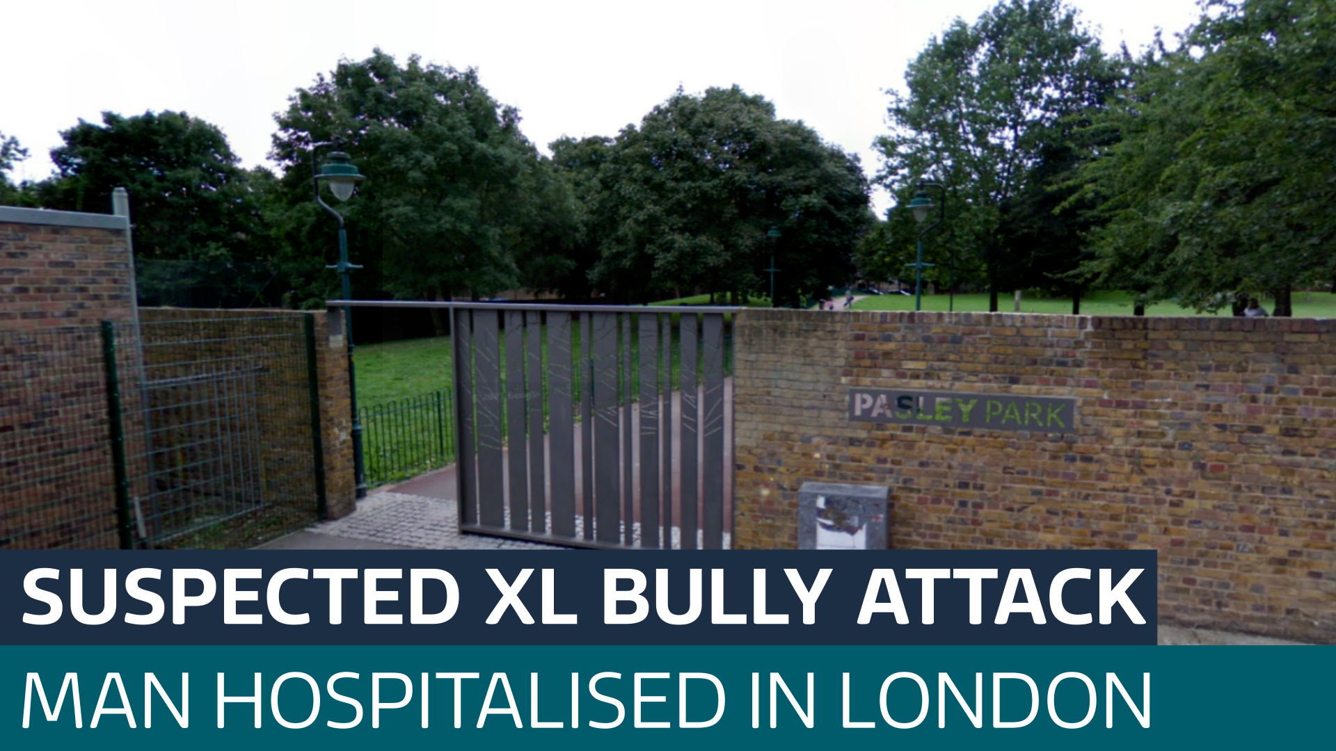 Man attacked by dog believed to be XL bully in south London park as ...