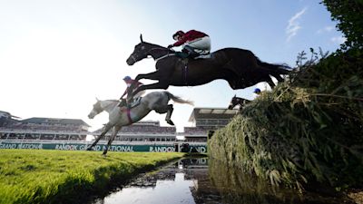 Campaigners call for jump racing ban after three horses die at Aintree ...