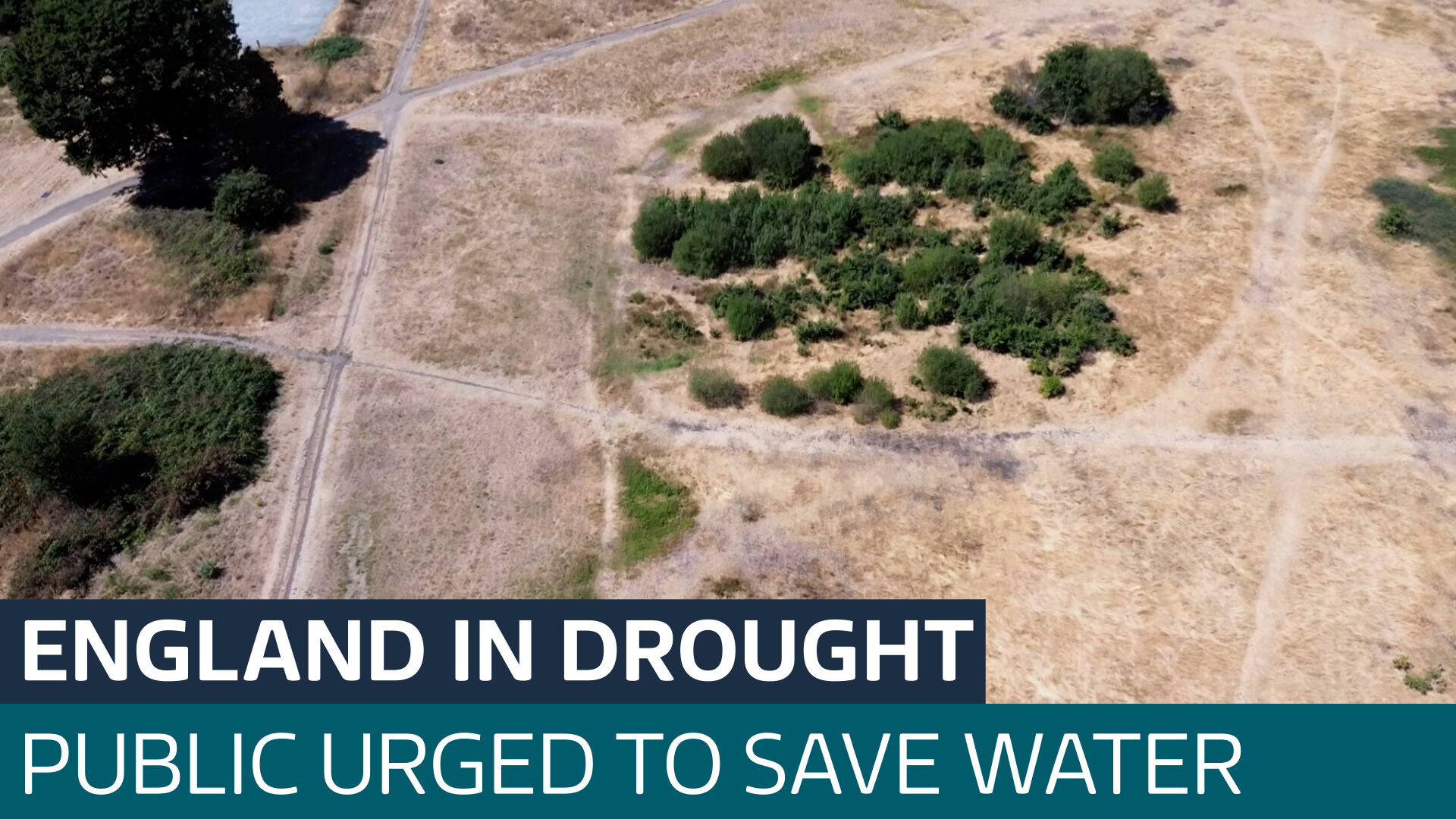Half of England officially in a 'flash drought' after little rain and hot weather