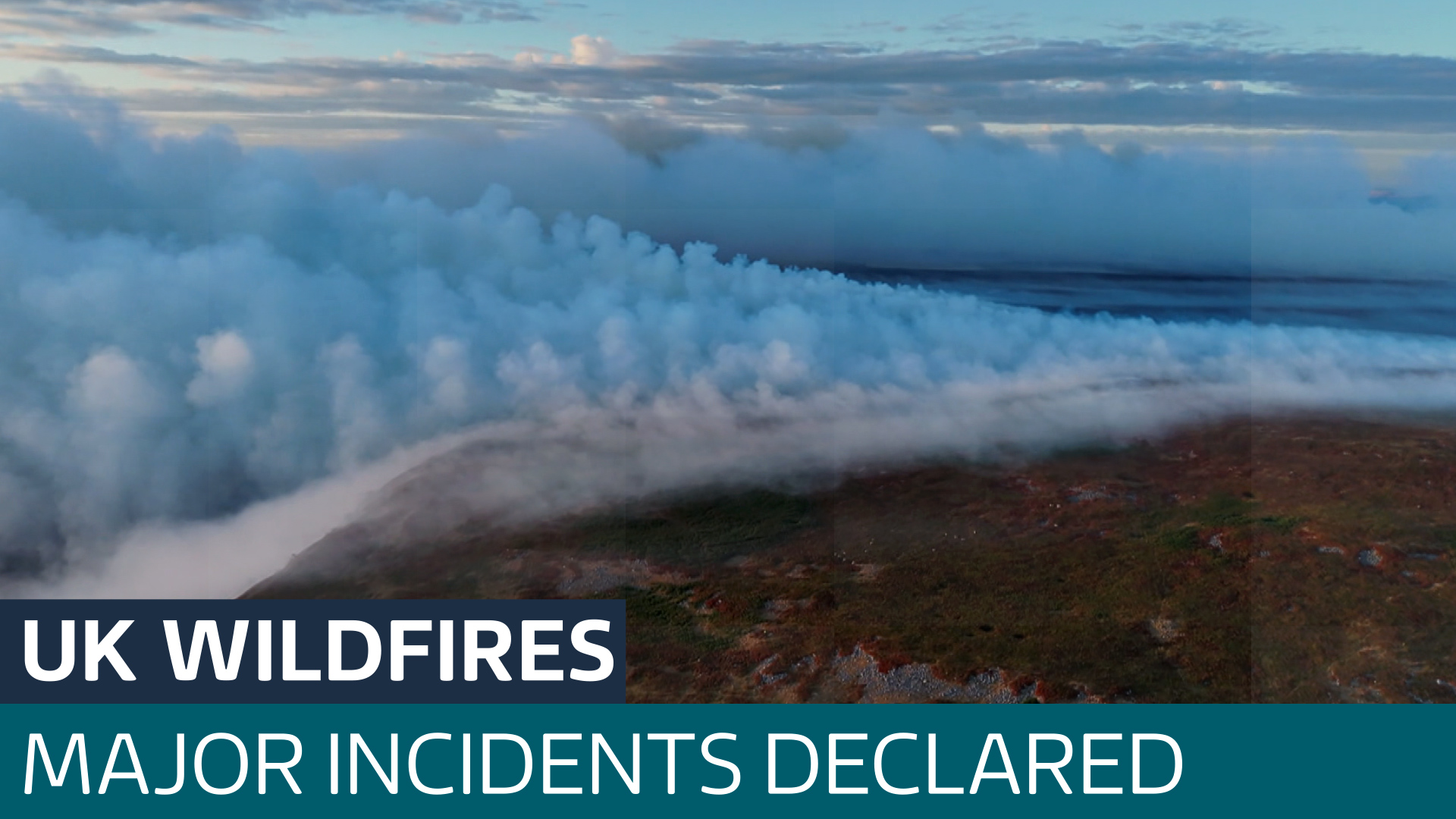 Firefighters tackle ‘devastating’ fire on internationally protected heathland