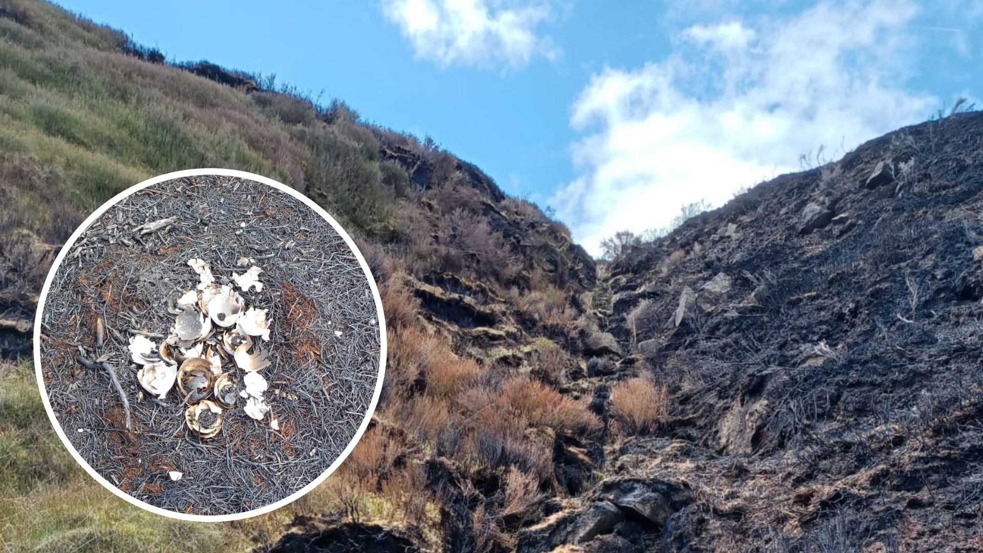 Hunt for arsonists who started 'horrific' Marsden Moor fires ITV News Calendar