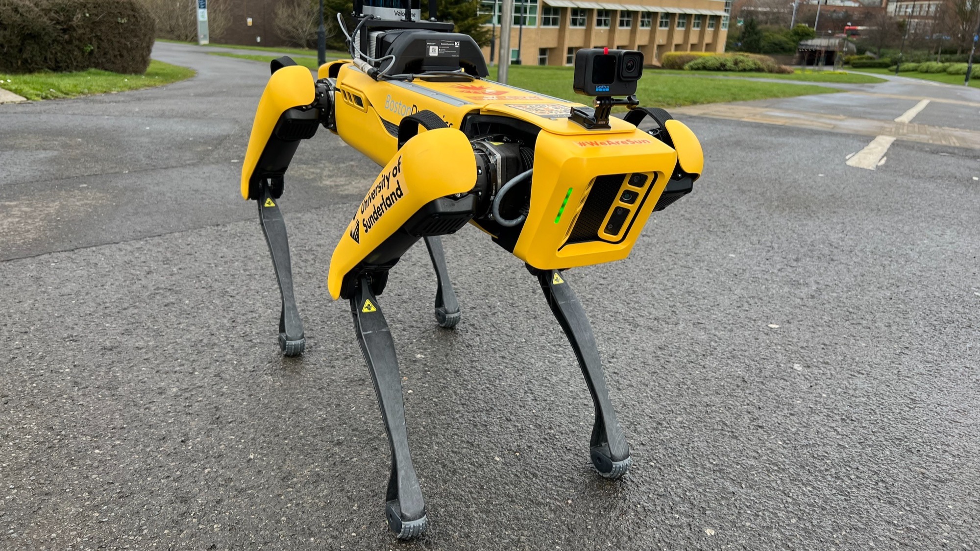 Advanced robot sales dog