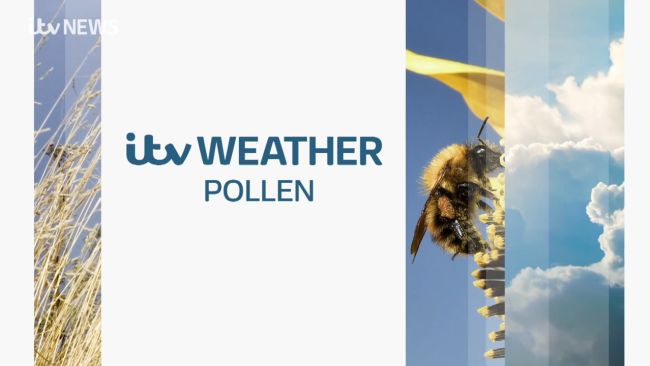 180522 Meridian Pollen forecast