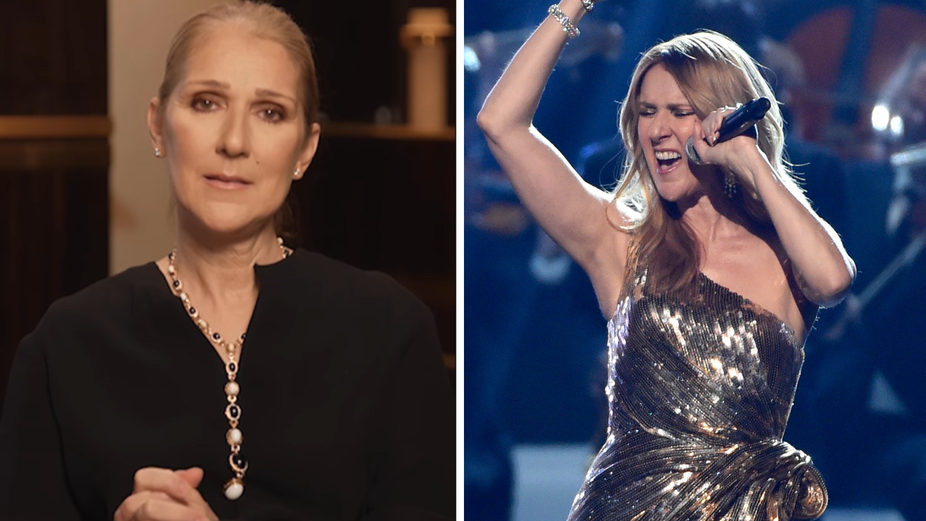 Celine Dion forced to cancel European tour as she's diagnosed with ...