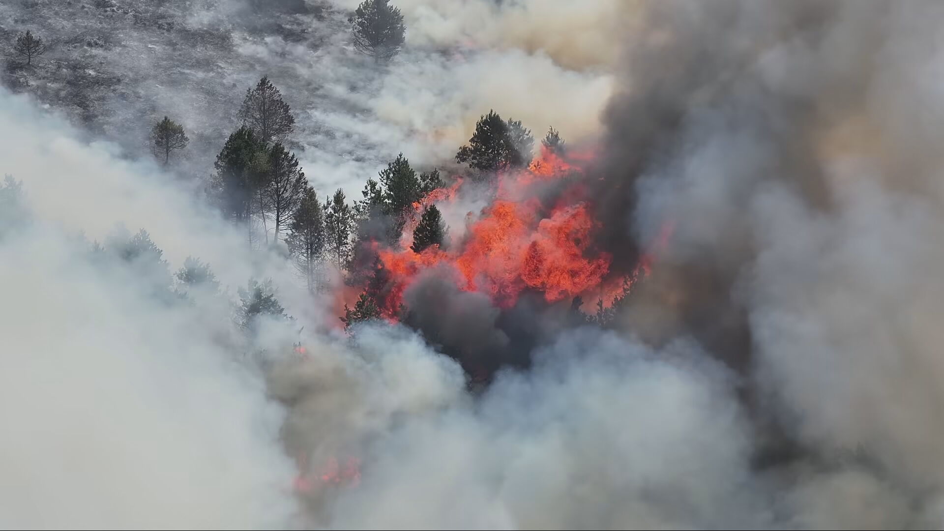 Fire crews continue to tackle 500m wildfire on moorland near Glossop