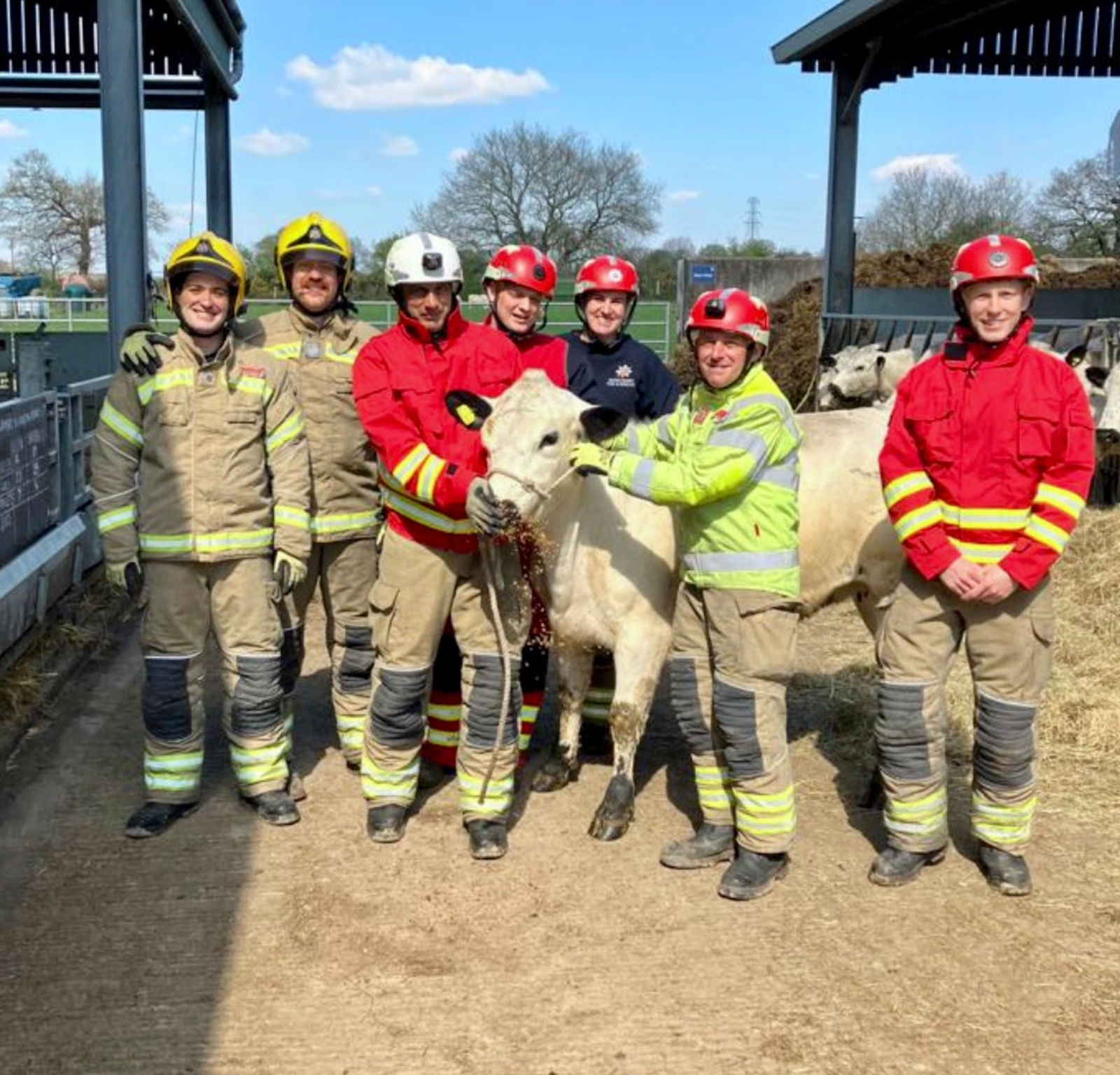 Derbyshire Fire and Rescue Service practices animal rescue techniques ...