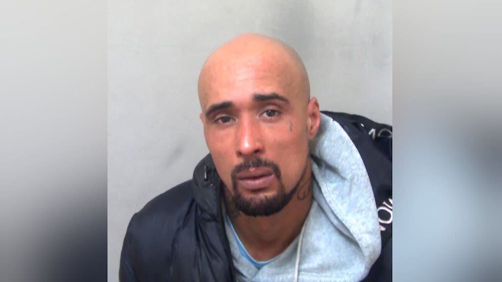 Aspiring rapper sentenced to 10 years in prison for owning XL bully that  killed grandmother | ITV News Anglia