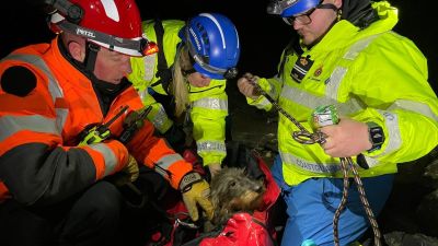 080322 DOG RESCUE - KENT FIRE & RESCUE SERVICE - MERIDIAN