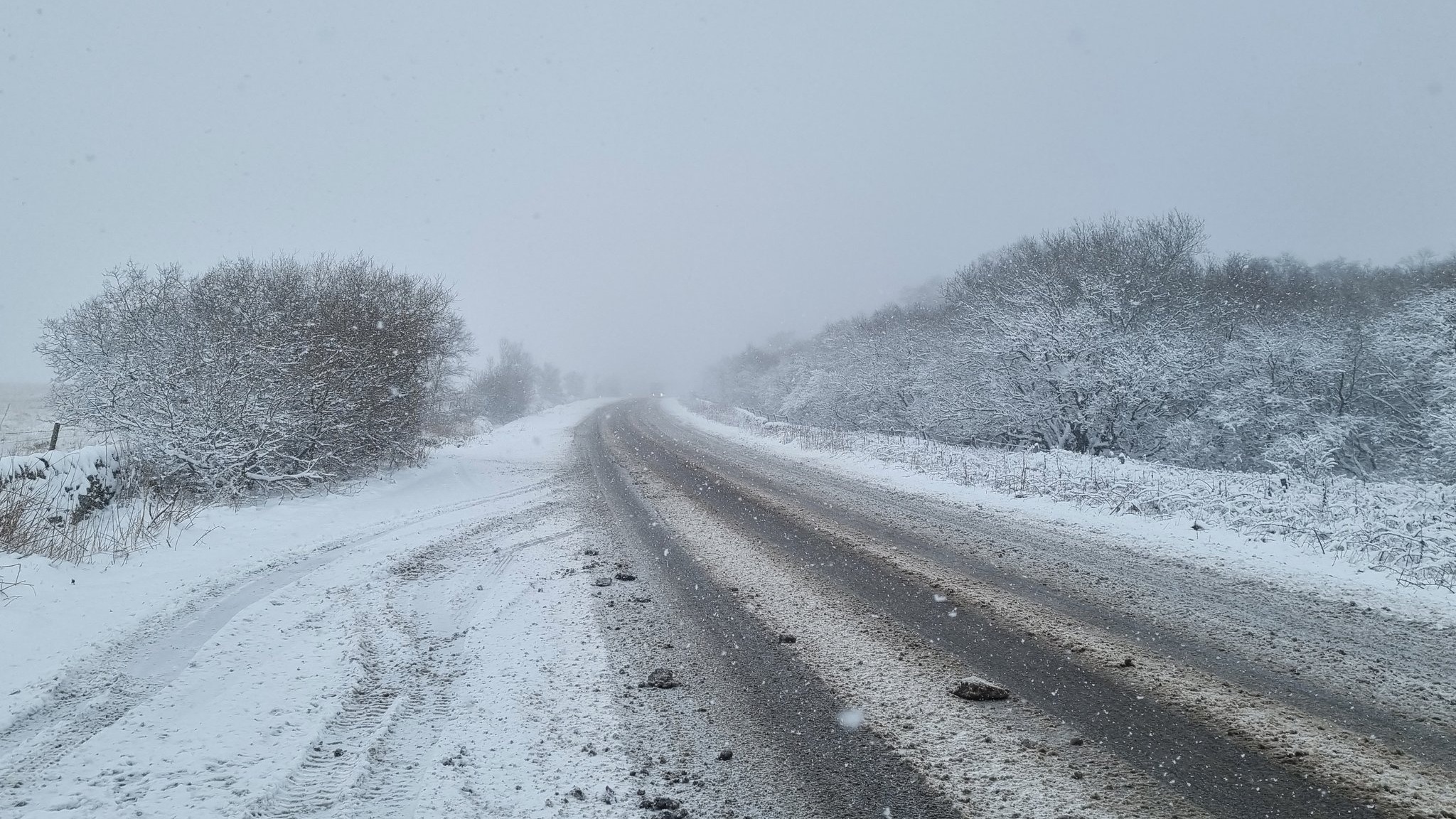 School closures and travel latest as snow falls in Yorkshire and