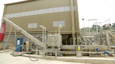 Bellozane treatment works.