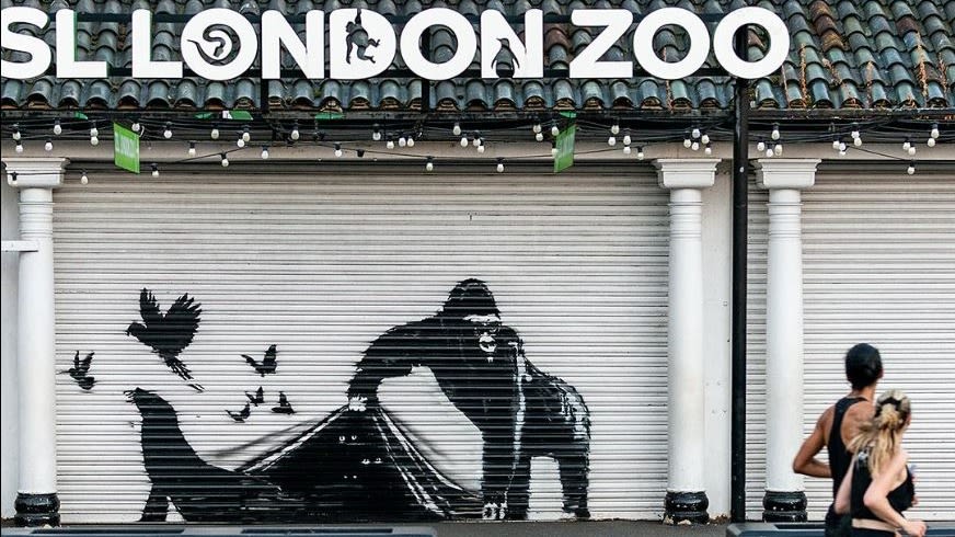コレクション Banksy Around the world in eighty sprays Banksy chooses London Zoo for his ninth artwork in nine days | ITV