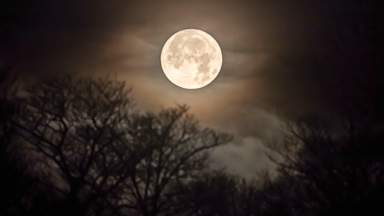 What is the Cold supermoon and where can I see it?
