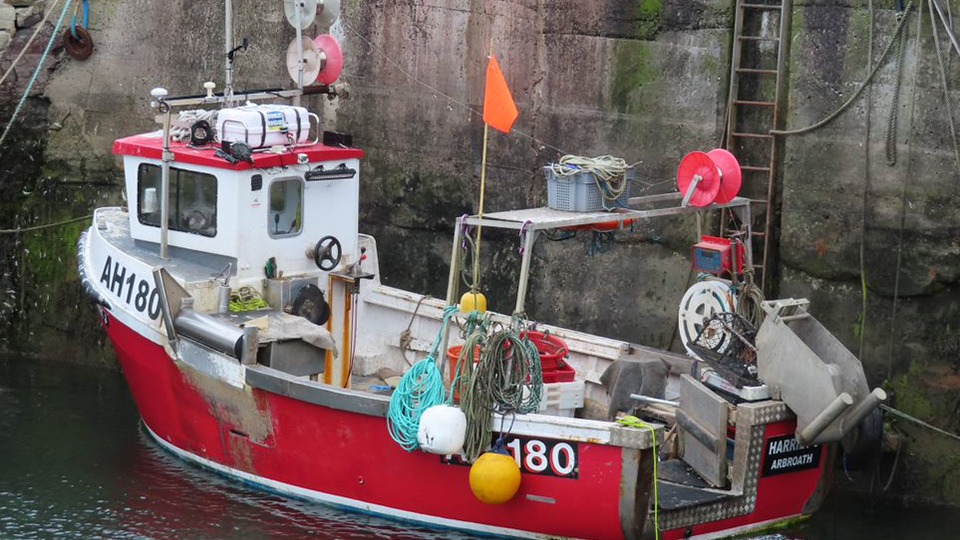 Fisherman who fell overboard and drowned off the Berwickshire