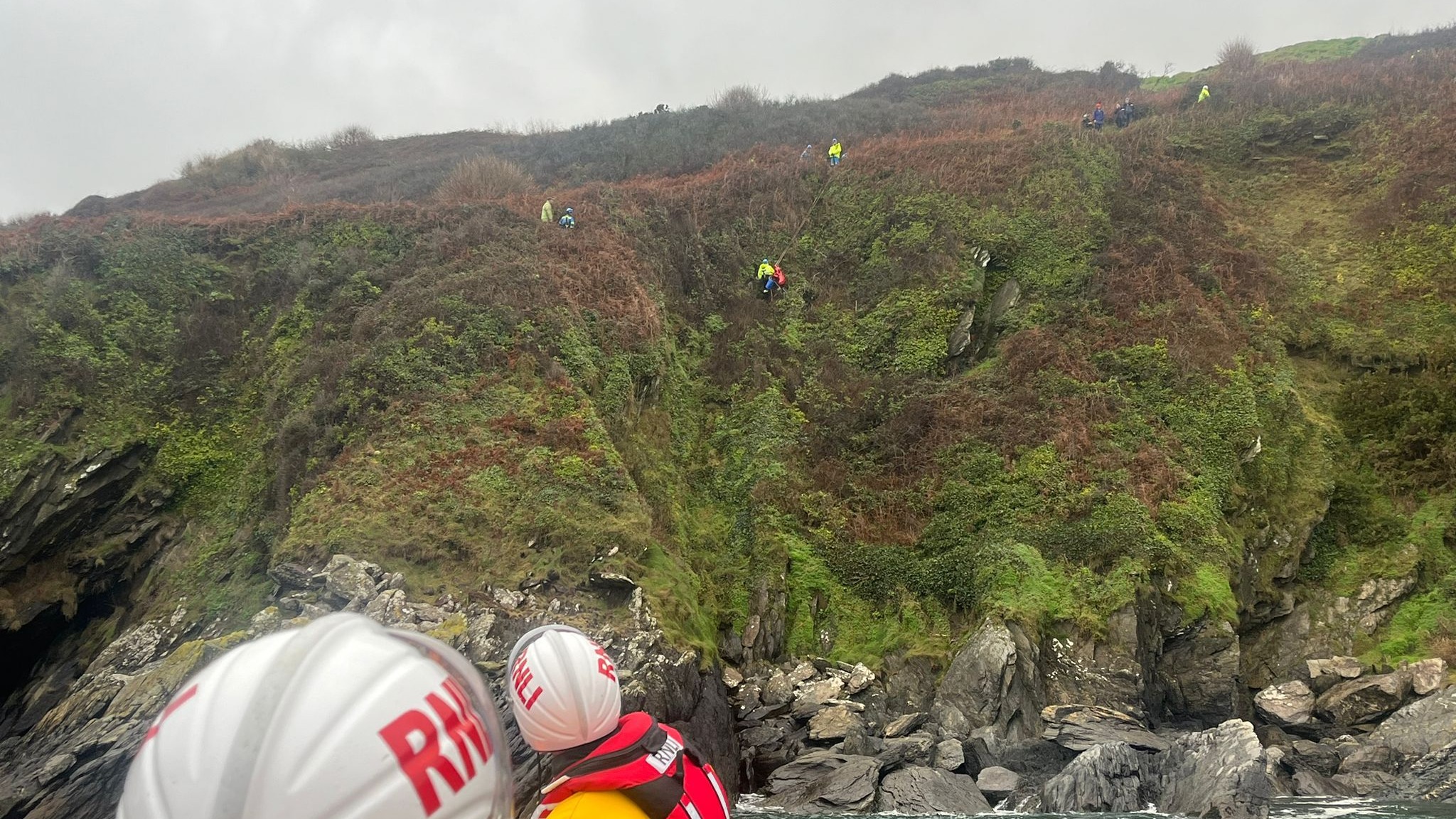 Dog reunited with owner after falling down Cornish cliffs | ITV News ...