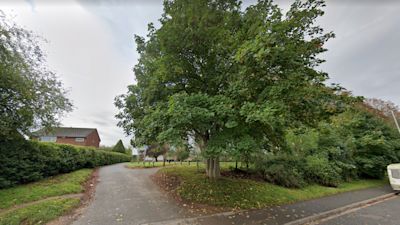 Hamilton Park Taunton