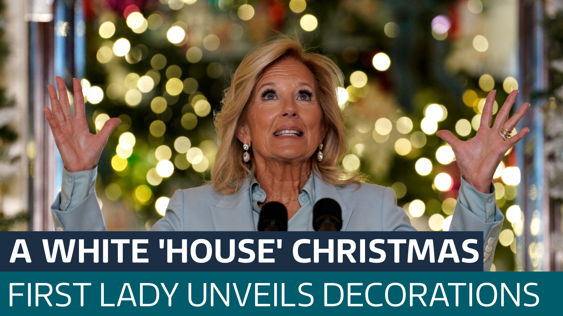 White House adorned with 142,000 lights as First Lady unveils Christmas ...