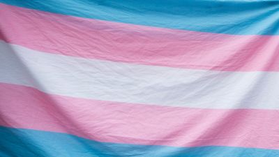 Trans flag