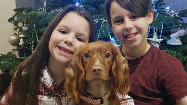 Family dog makes 'miraculous recovery' after being left for dead in hit ...