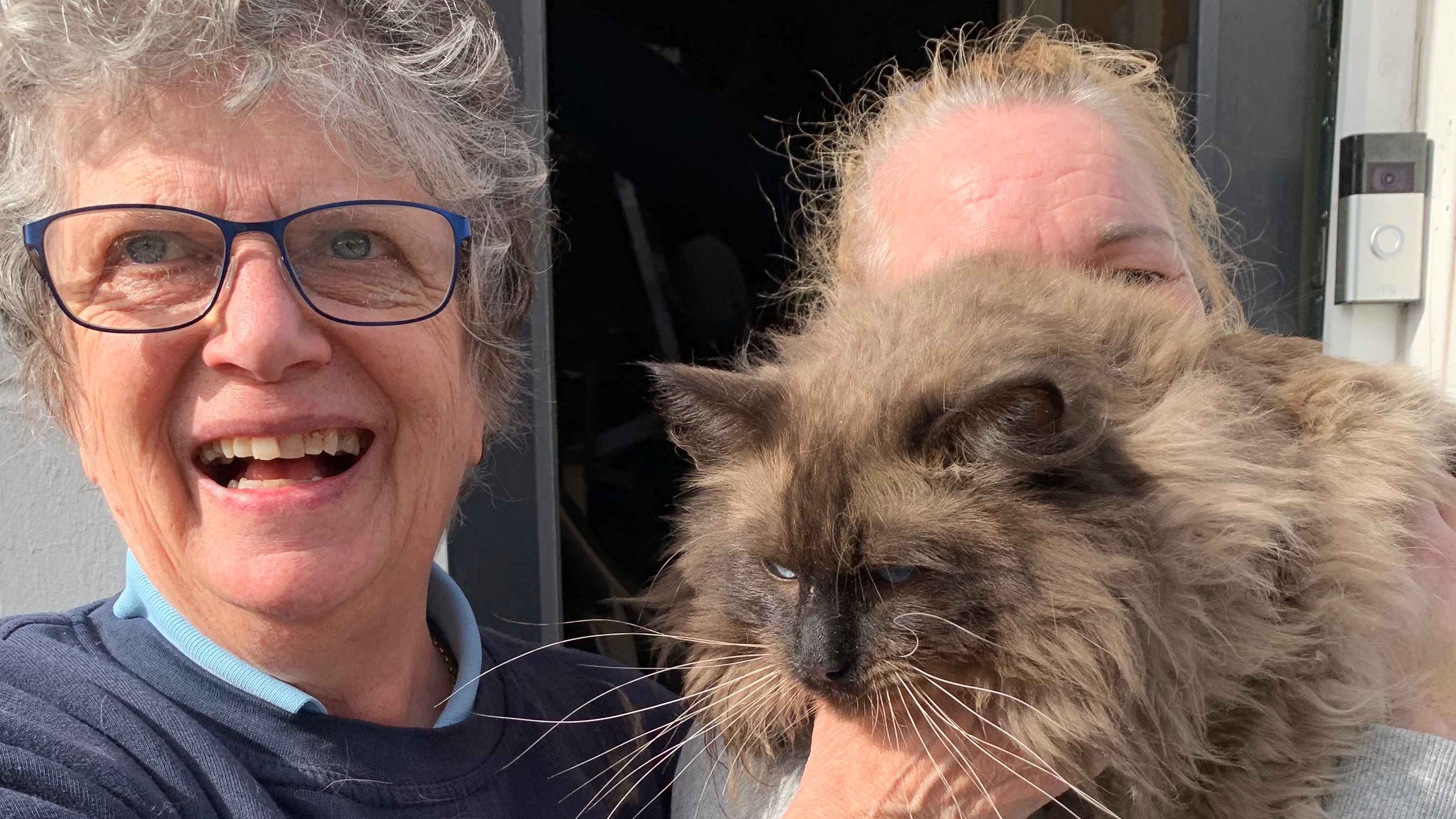 Cat caught up in fatal house explosion in Swansea found alive and well