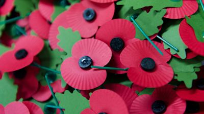 Poppies