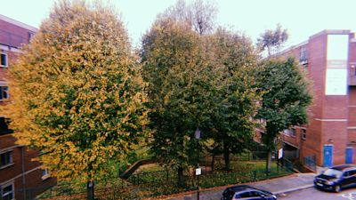 Undated handout photo issued by Constantine Gras of Wornington Green Estate in Kensington, London where residents of the west London estate have criticised a developerÕs plans to chop down more than 40 mature trees to make way for new flats.