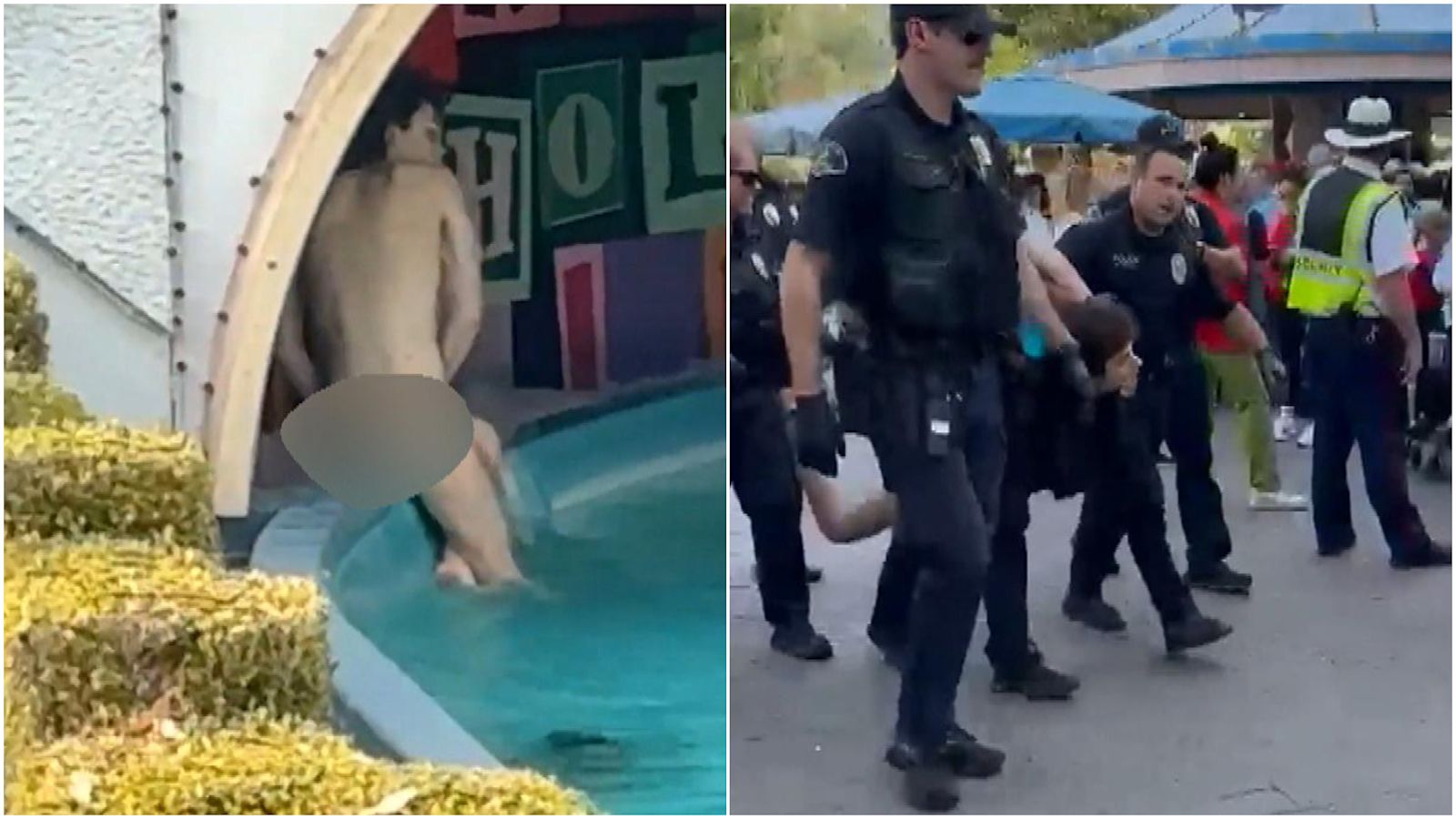 Streaker dragged from Disneyland after stripping naked inside 'It’s a
