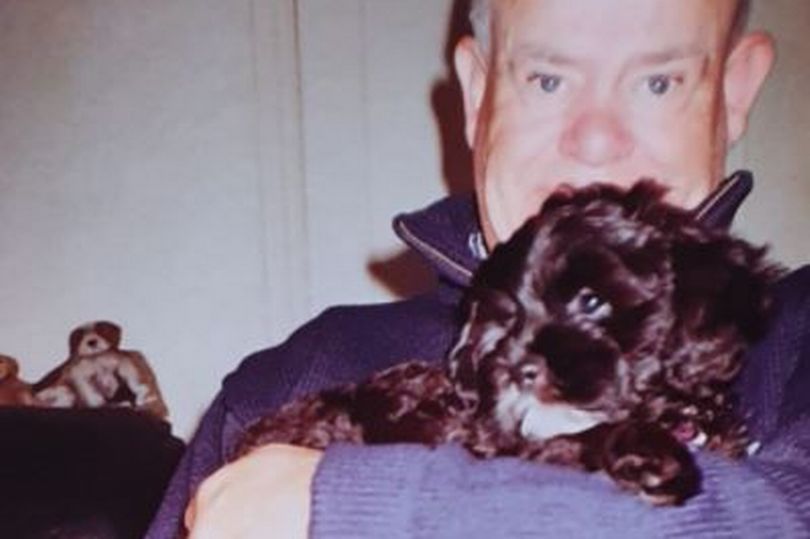 Dog's 'distraught' owners appeal after pet dies after being hit by car ...