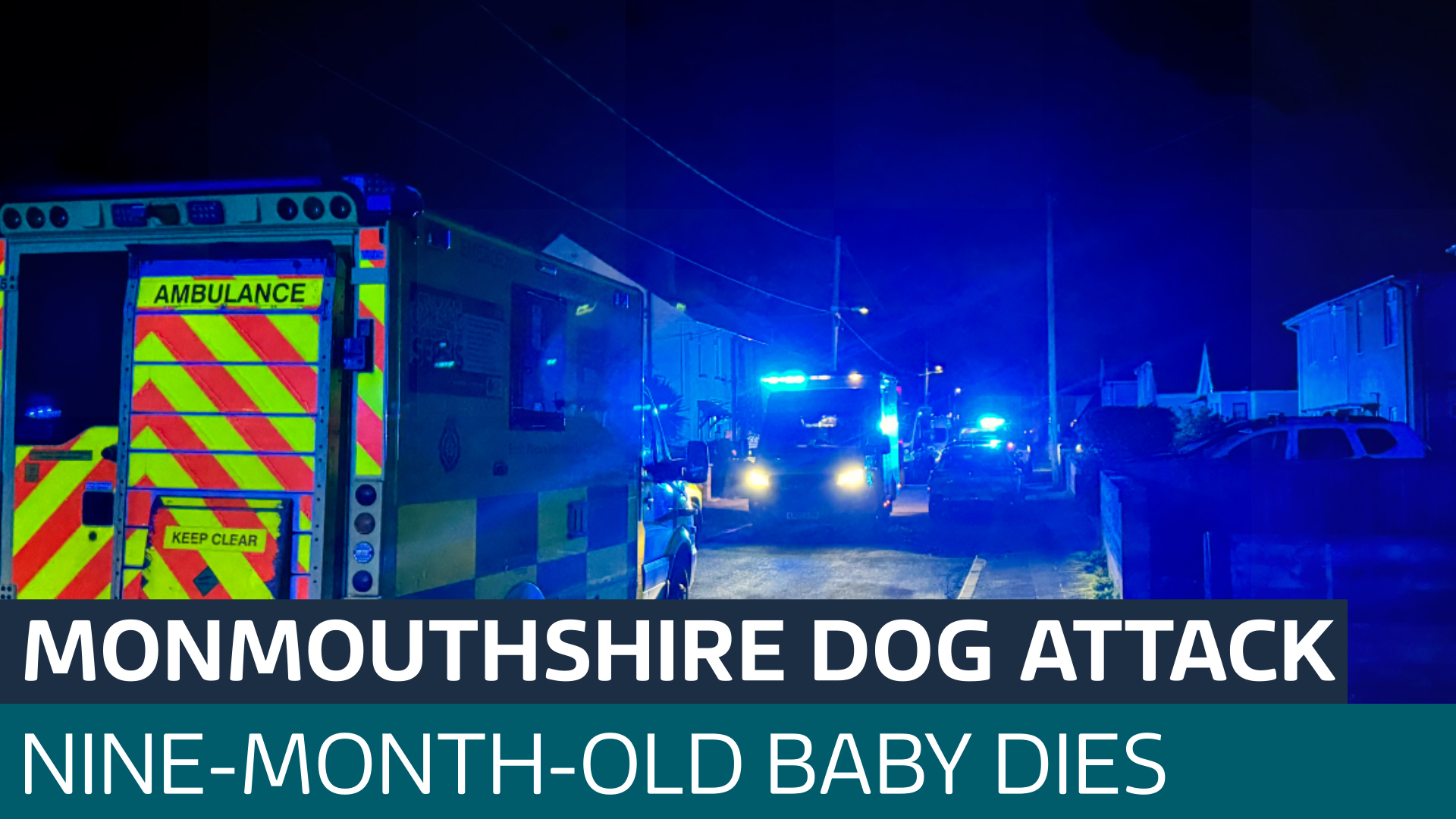 Nine-month-old baby dies after dog attack in Monmouthshire - Latest ...