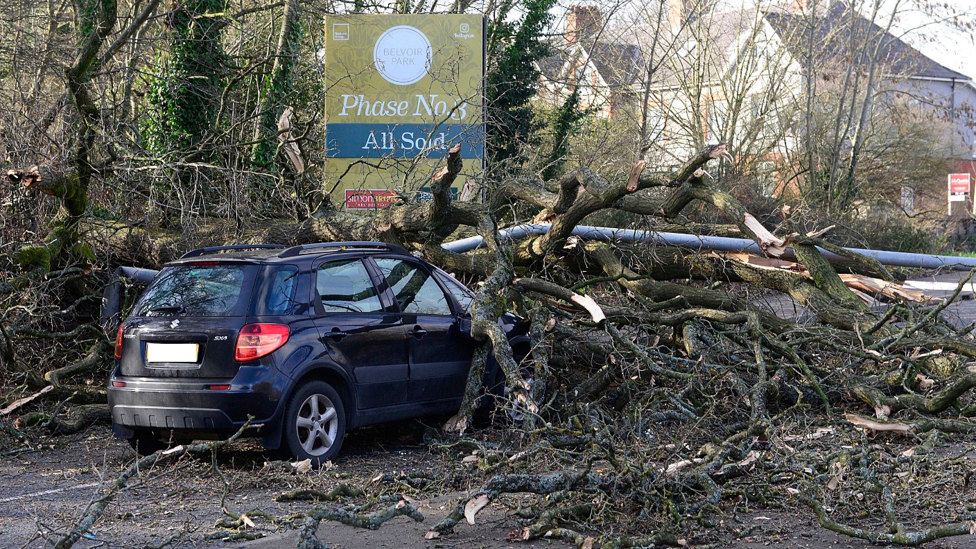 Driver injured as tree falls on car in Belfast | UTV | ITV News