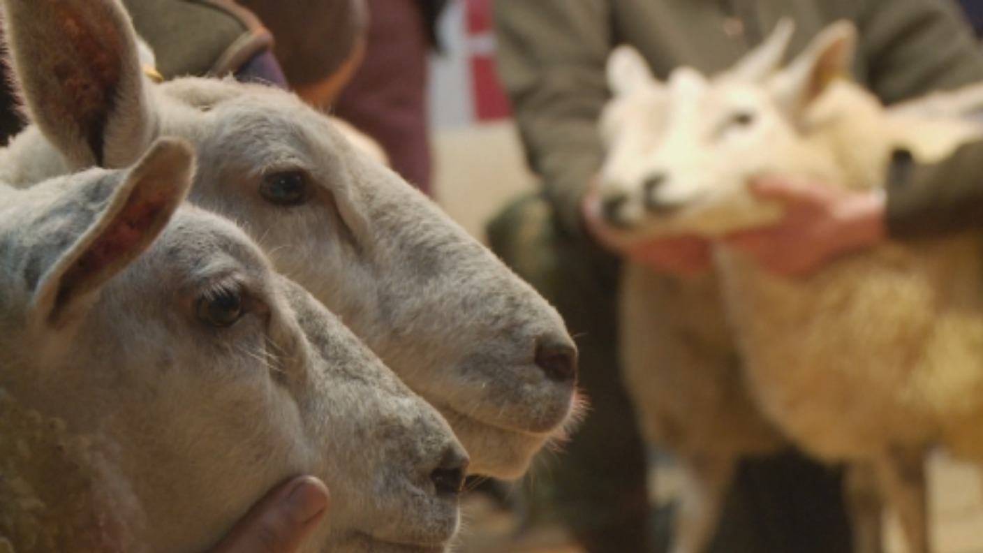 Multimillion pound revamp for St Boswells Auction Mart ITV News Border