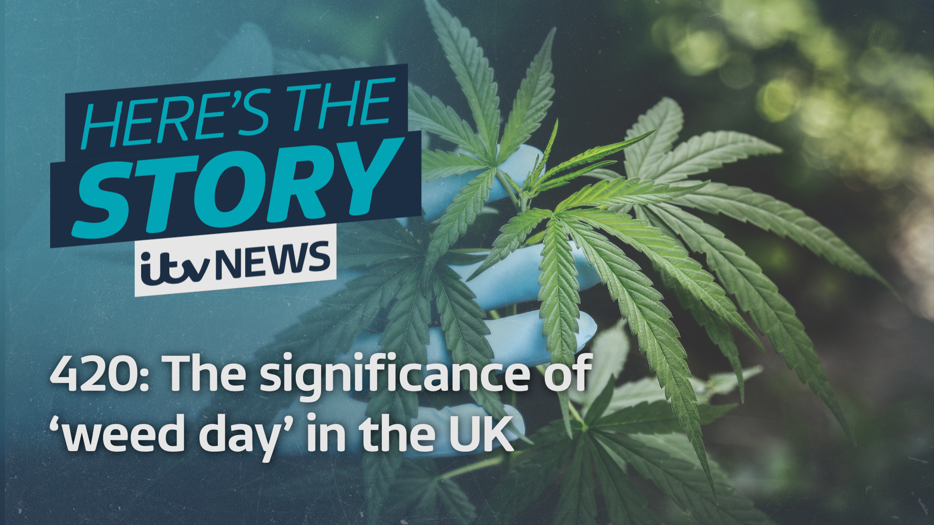 420: The significance of 'weed day' in the UK amidst changing global  attitudes