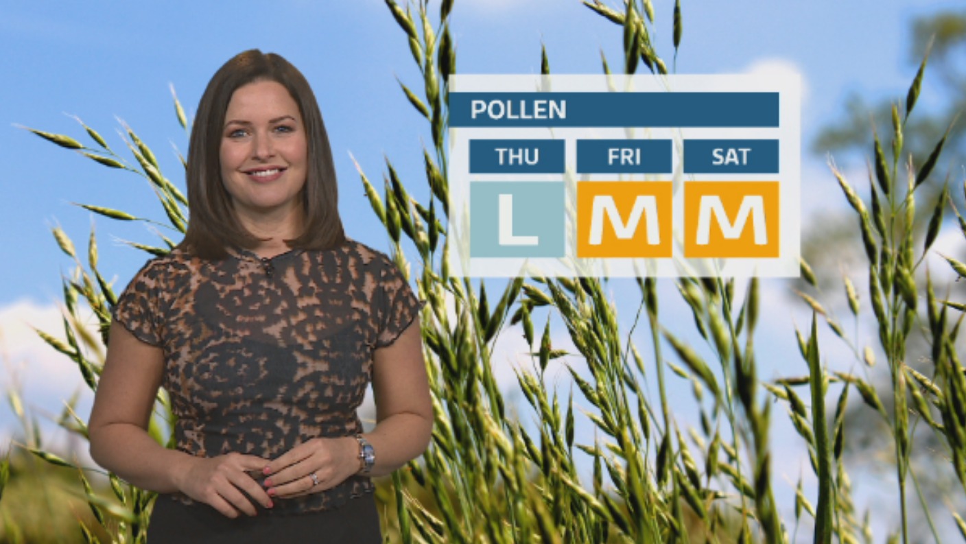 Pollen Count: Moderate grass pollen risk during warm, sunny weather ...
