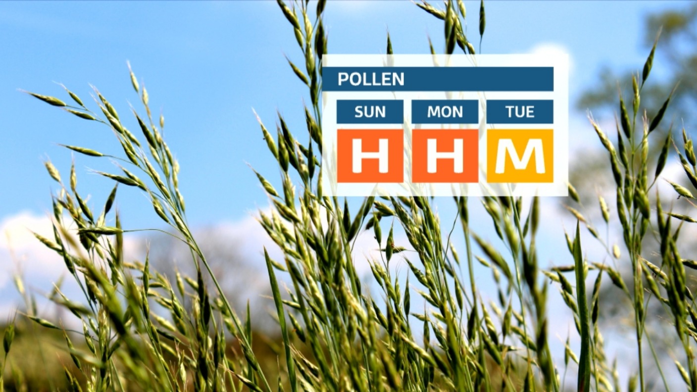 pollen-count-levels-remain-high-utv-itv-news