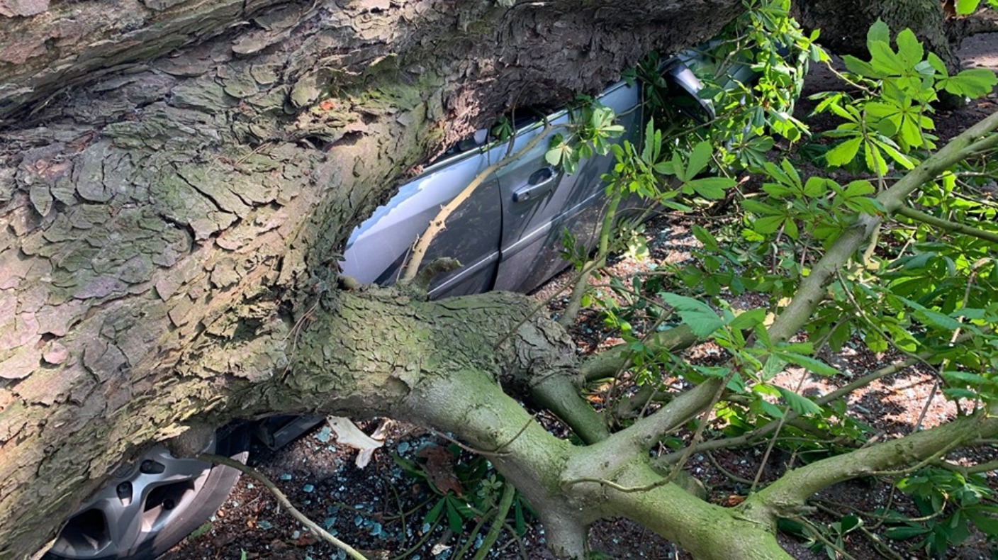 Large Falling Tree Crushes Car With Man Inside Itv News Anglia