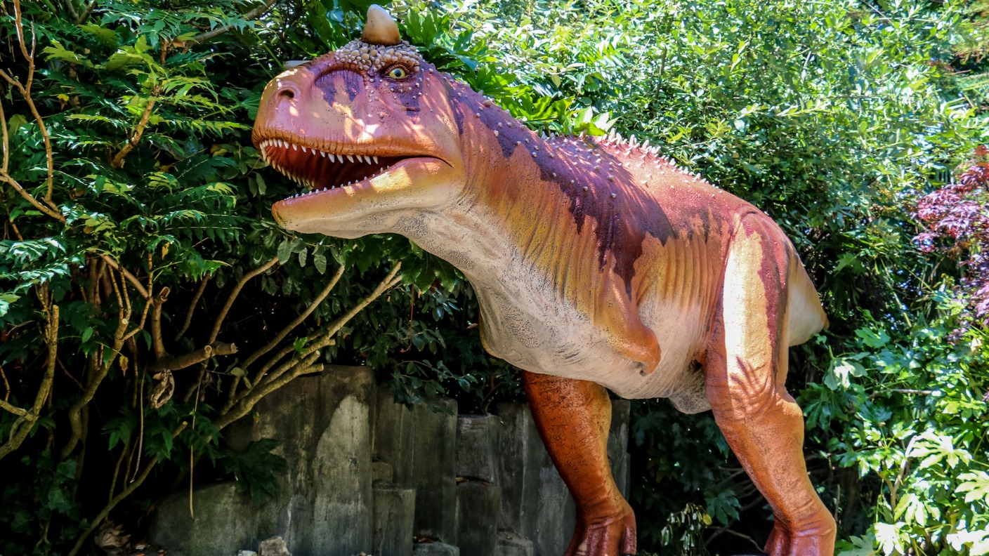 Moving mega-beasts arrive at Blackpool Zoo | ITV News Granada